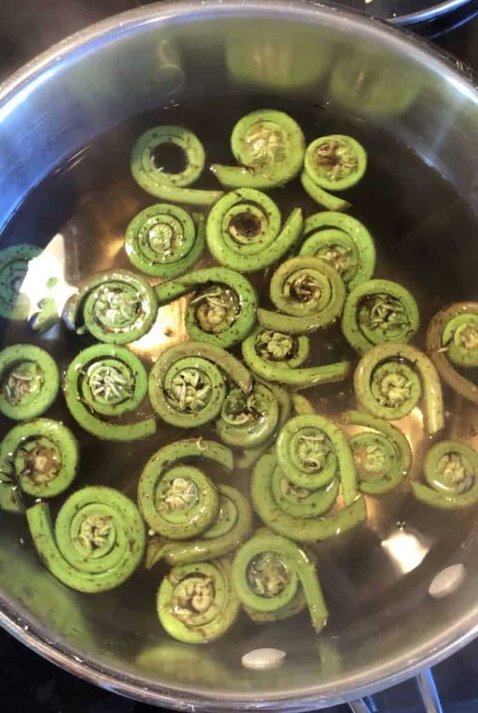 pot of water with fiddlehead ferns floating at the top