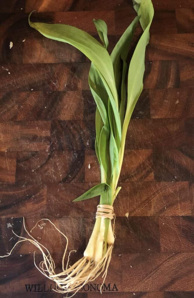 bunch of wild ramps tied together on a wooden cutting board
