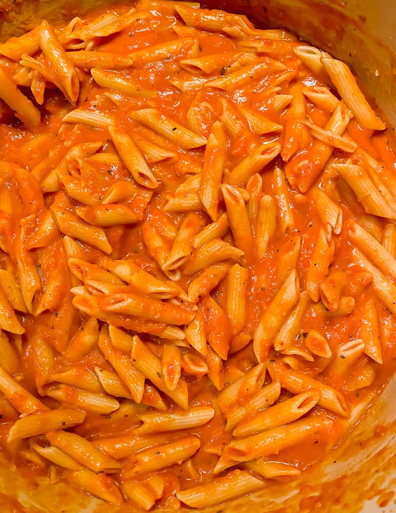 close up of penne in vodka sauce