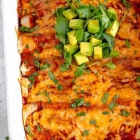 white baking dish with red enchiladas covered in melted cheese and topped with avocado and cilantro