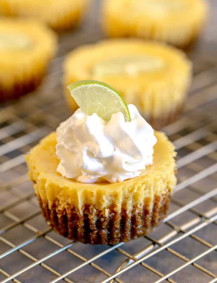 close up of a miniature key lime pie topped with whipped cream and a slice of key lime on a gold cooling rack and grey wooden surface