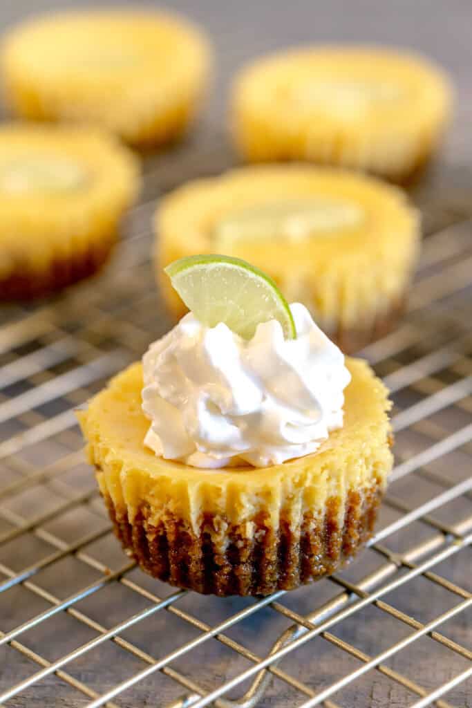 close up of a miniature key lime pie topped with whipped cream and a slice of key lime on a gold cooling rack and grey wooden surface