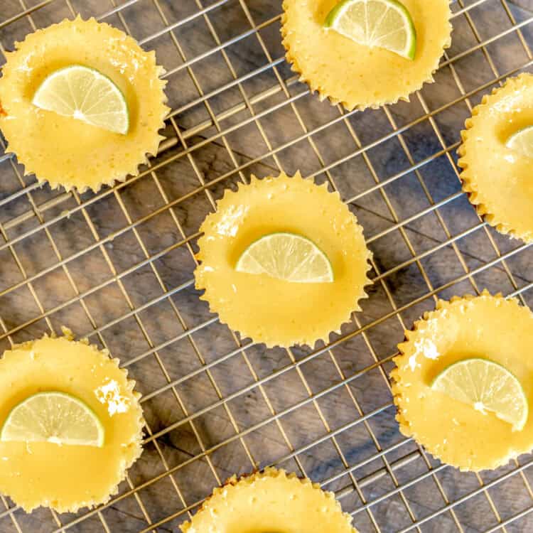 an overhead shot of miniature key lime pies with key lime slices on top of them on a golden cooling rack